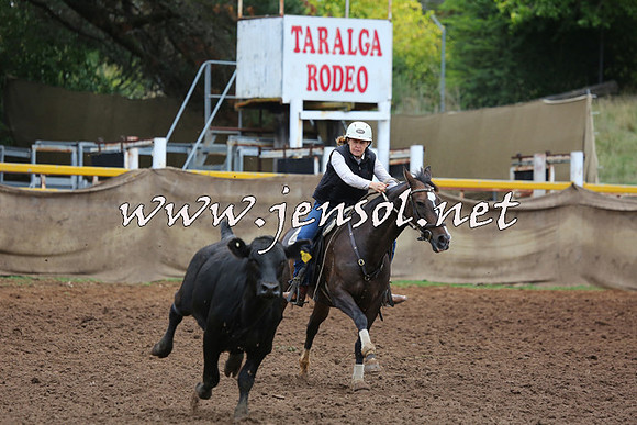TaralgaCampdraftSun_0834
