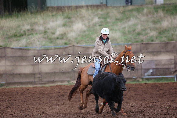 TaralgaCampdraftSun_0889