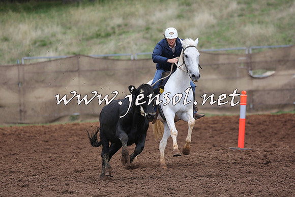 TaralgaCampdraftSun_0929