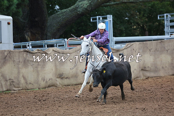 TaralgaCampdraftSun_0777