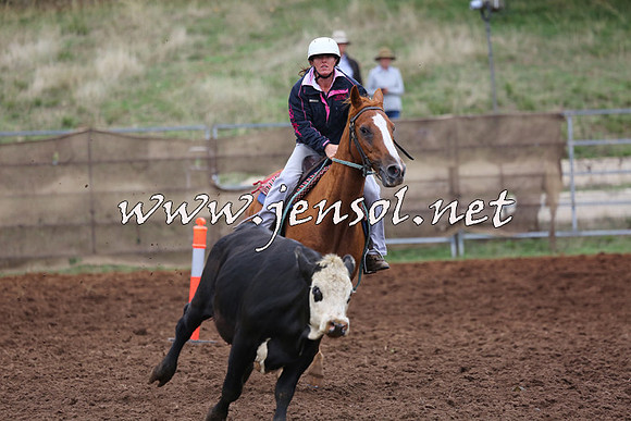 TaralgaCampdraftSun_0915