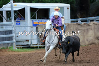 TaralgaCampdraftSun_0781