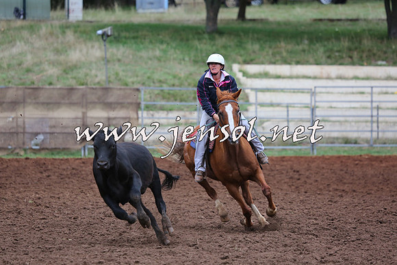 TaralgaCampdraftSun_0823