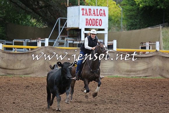 TaralgaCampdraftSun_0836