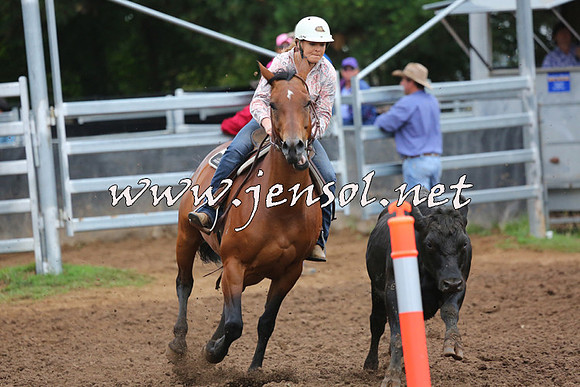 TaralgaCampdraftSun_0750