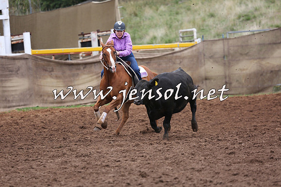 TaralgaCampdraftSun_0941