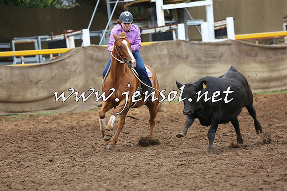 TaralgaCampdraftSun_0946