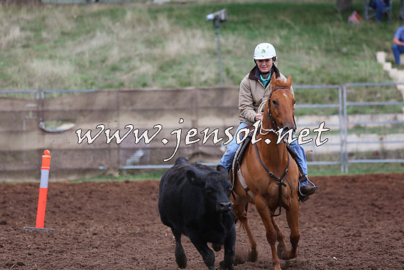 TaralgaCampdraftSun_0884