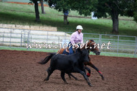 TaralgaCampdraftSun_0740