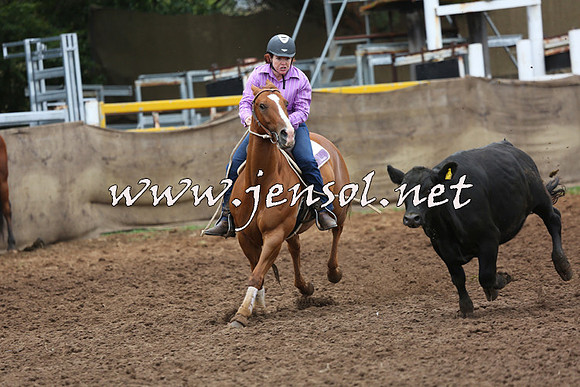 TaralgaCampdraftSun_0945