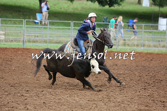 TaralgaCampdraftSun_0936