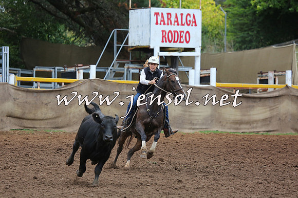 TaralgaCampdraftSun_0833