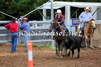 TaralgaCampdraftSun_0770