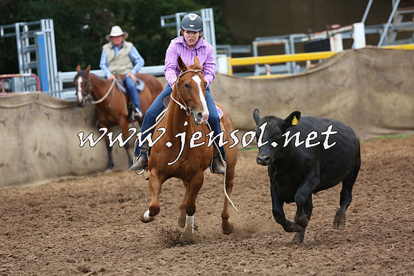 TaralgaCampdraftSun_0942