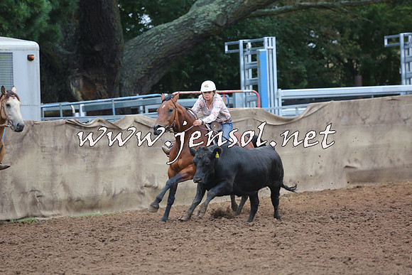TaralgaCampdraftSun_0746