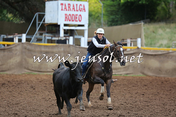 TaralgaCampdraftSun_0830