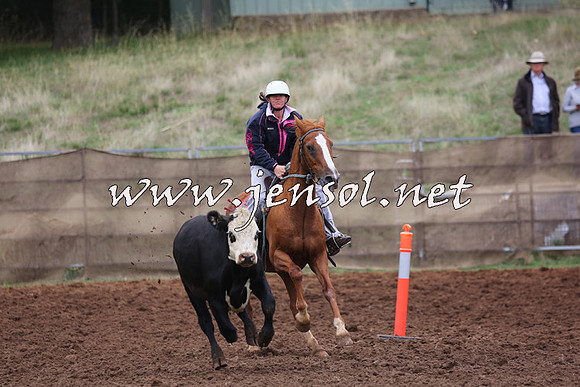 TaralgaCampdraftSun_0911