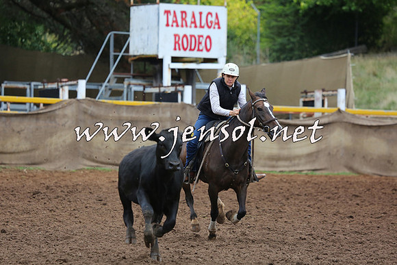 TaralgaCampdraftSun_0829