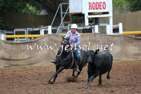 TaralgaCampdraftSun_0759