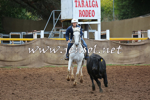 TaralgaCampdraftSun_0866