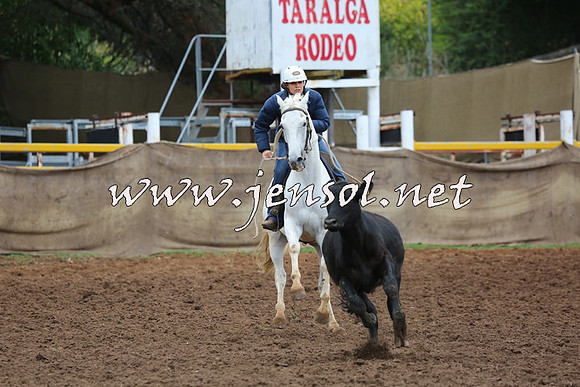 TaralgaCampdraftSun_0868