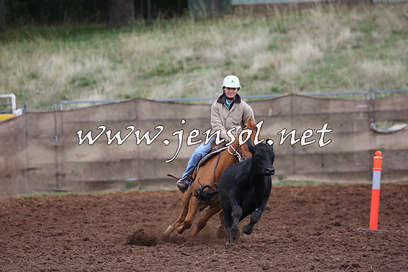TaralgaCampdraftSun_0881