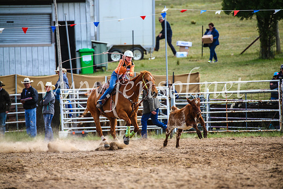 BungendoreRodeo2017_0115