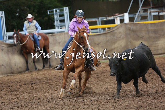 TaralgaCampdraftSun_0944
