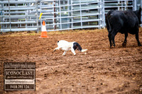 TaralgaDogs2018_0064