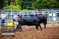 TaralgaDogs2018_0059