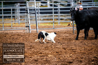 TaralgaDogs2018_0060