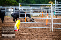 TaralgaDogs2018_0005