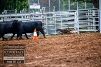 TaralgaDogs2018_0035