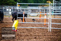 TaralgaDogs2018_0008
