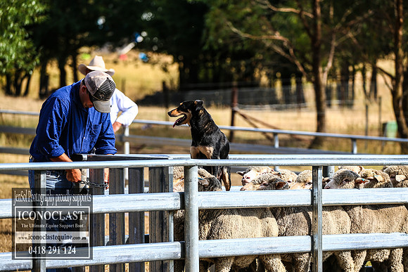 TaralgaRodeo2018_0784