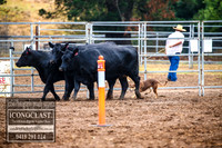 TaralgaDogs2018_0049