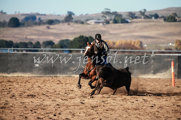 BungendoreCampdraft2016_0126