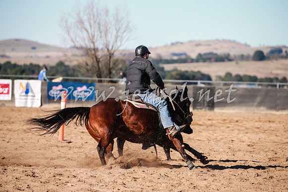 BungendoreCampdraft2016_0274