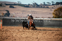 BungendoreCampdraft2016_0053