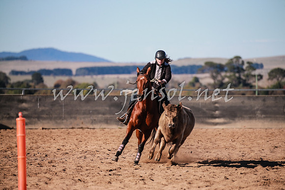 BungendoreCampdraft2016_0372