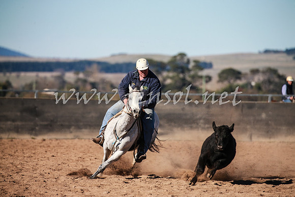 BungendoreCampdraft2016_0435