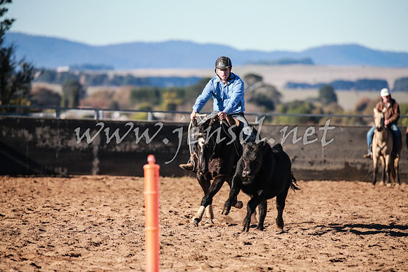 BungendoreCampdraft2016_0159