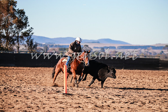 BungendoreCampdraft2016_0061