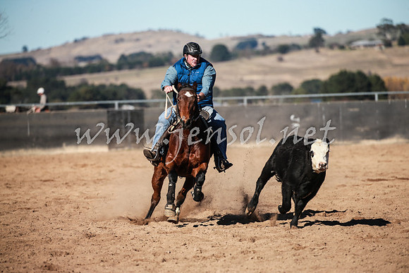 BungendoreCampdraft2016_0510