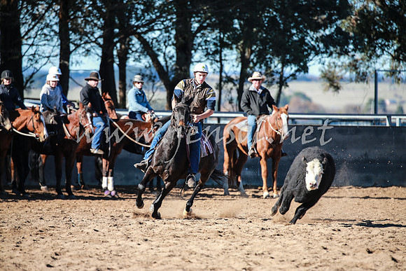 BungendoreCampdraft2016_0424
