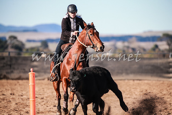 BungendoreCampdraft2016_0205
