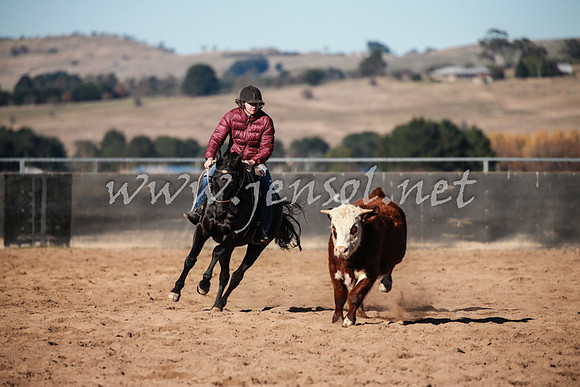 BungendoreCampdraft2016_0386