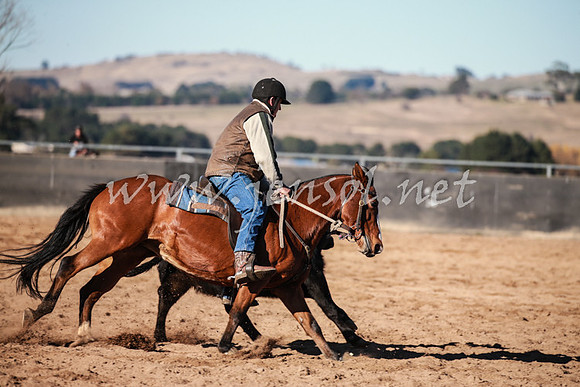BungendoreCampdraft2016_0337