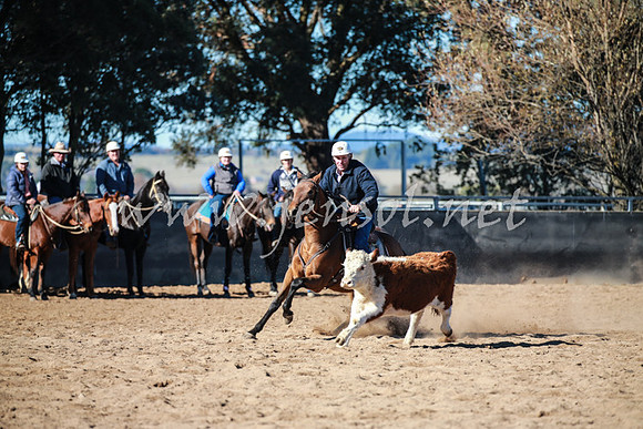 BungendoreCampdraft2016_0547