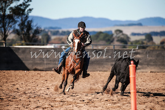 BungendoreCampdraft2016_0332